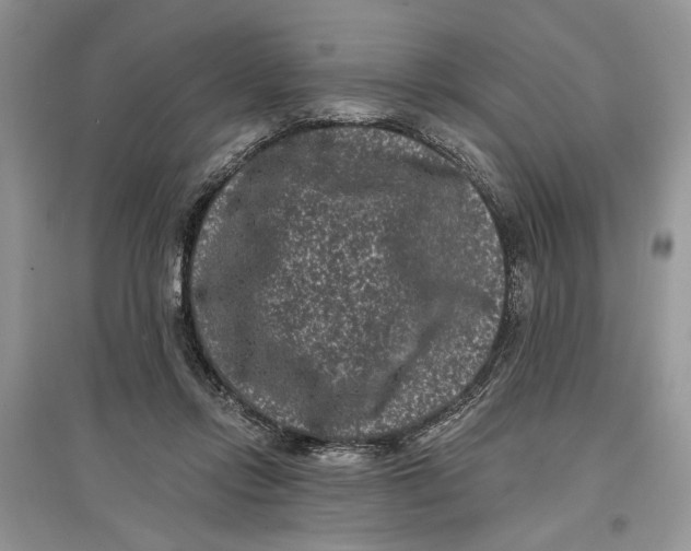 X0000097290358200803071736