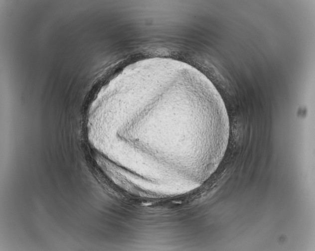 X0000097290359200803071736