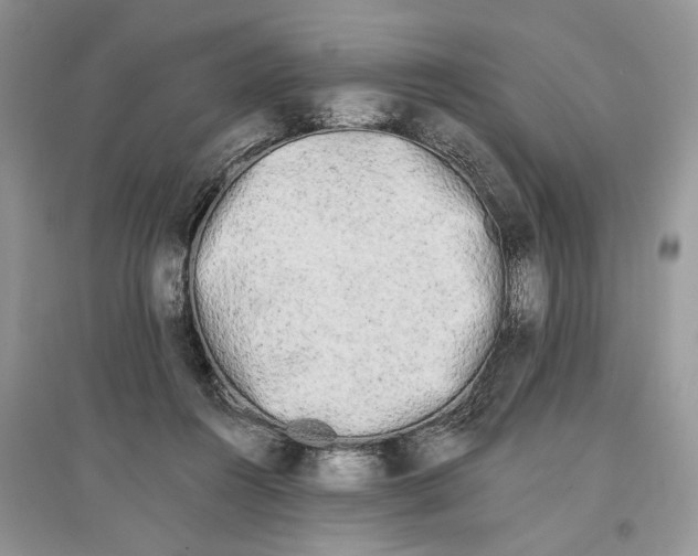 X0000097290360200803071736