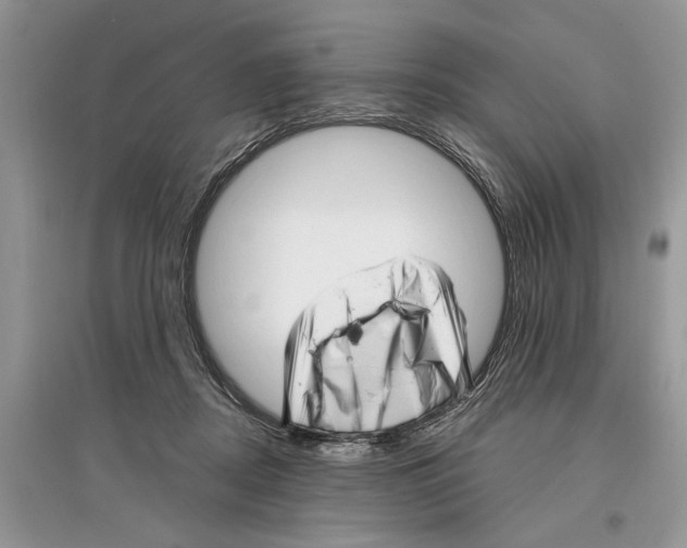 X0000097290362200803071736