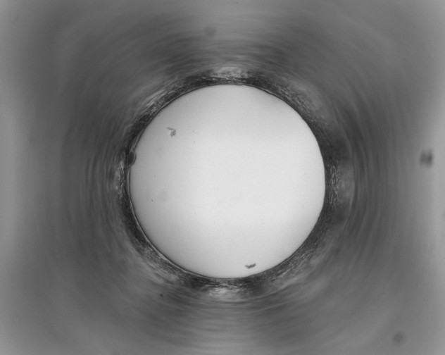 X0000097290364200803071737