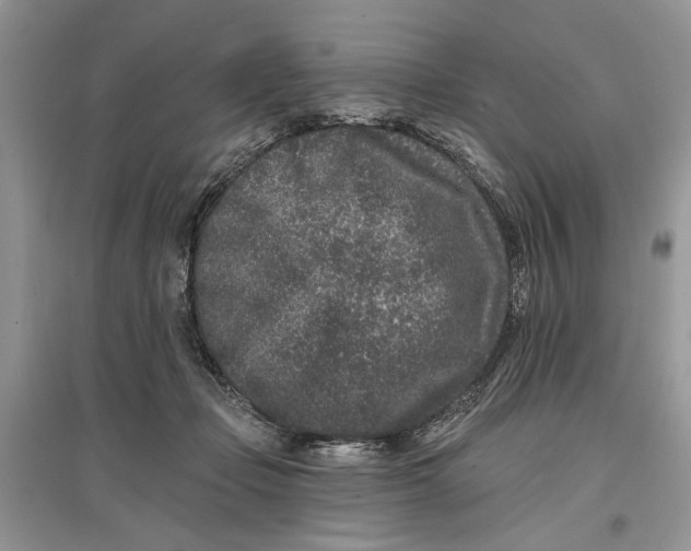 X0000097290365200803071737