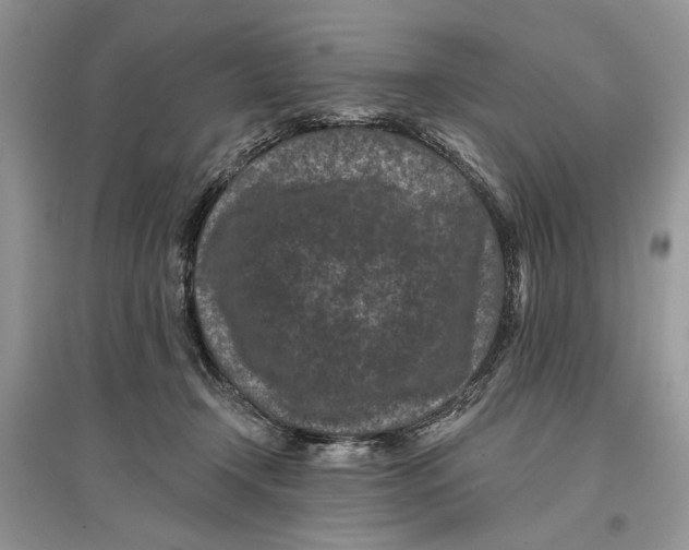 X0000097290366200803071737