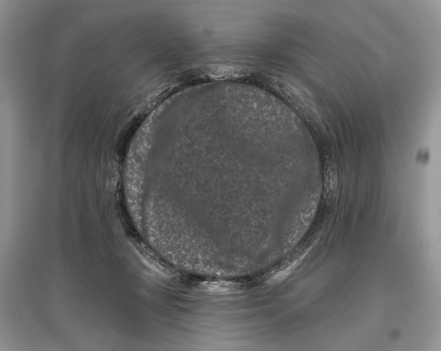 X0000097290367200803071737