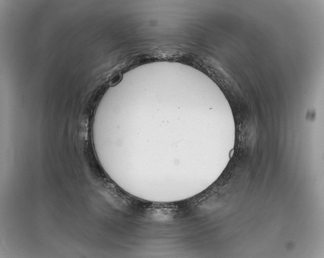 X0000097290368200803071737