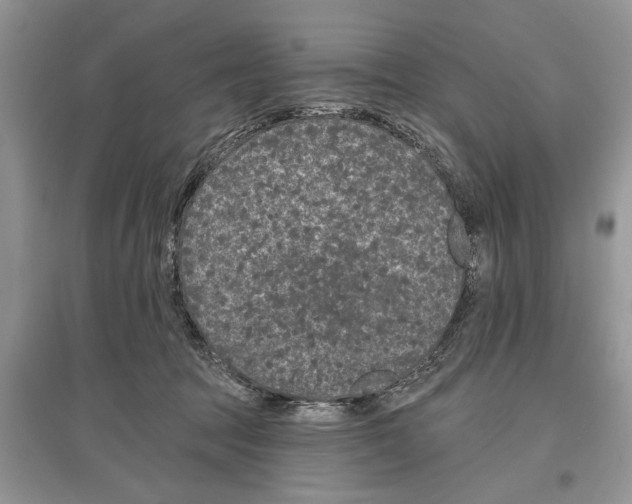 X0000097290369200803071737