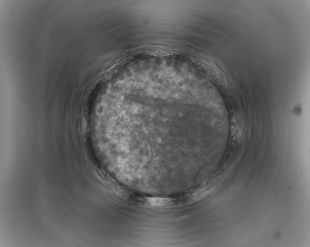 X0000097290371200803071737