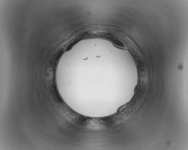 X0000097290372200803071737