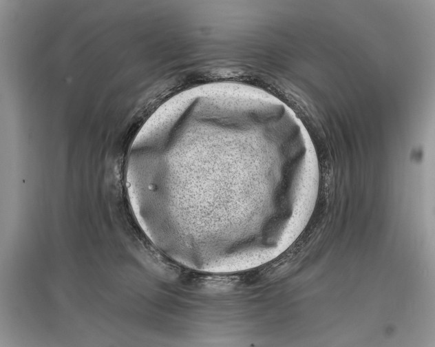 X0000097290373200803071737