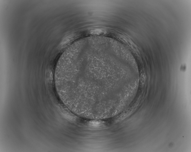 X0000097290375200803071737