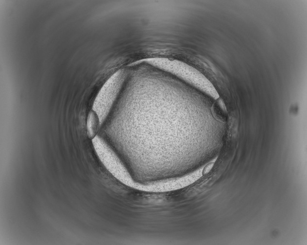 X0000097290377200803071737