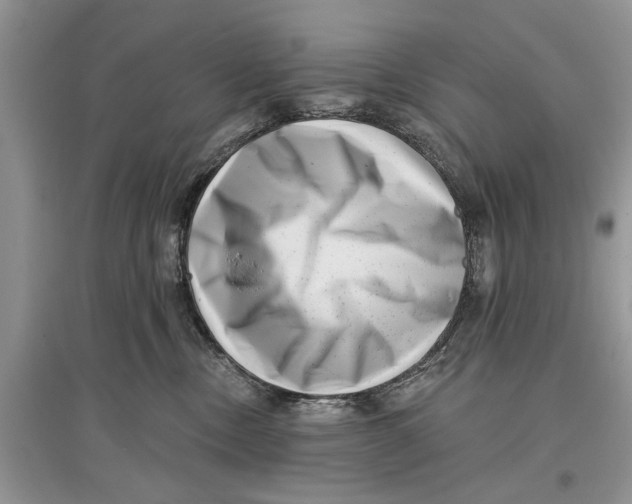 X0000097290378200803071737