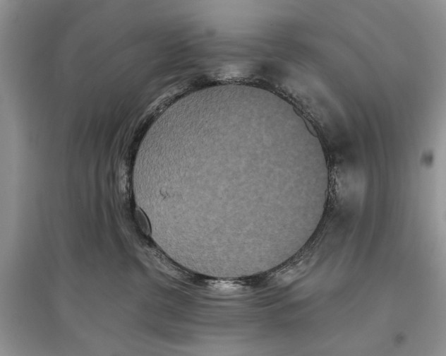 X0000097290380200803071737