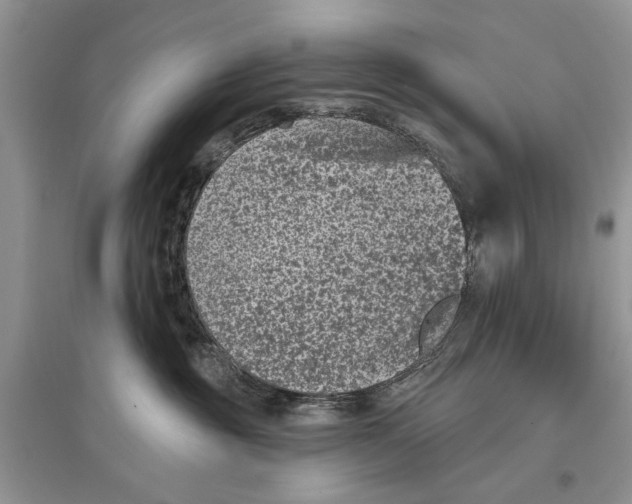 X0000097290381200803071737