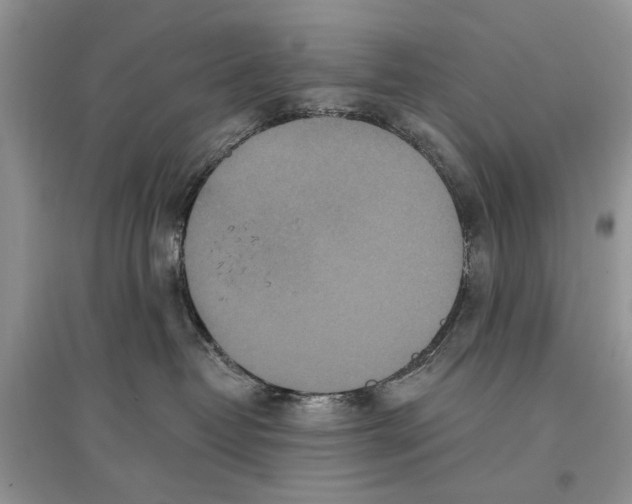 X0000097290382200803071737