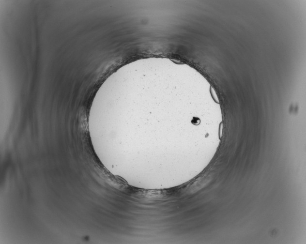 X0000097290384200803071737