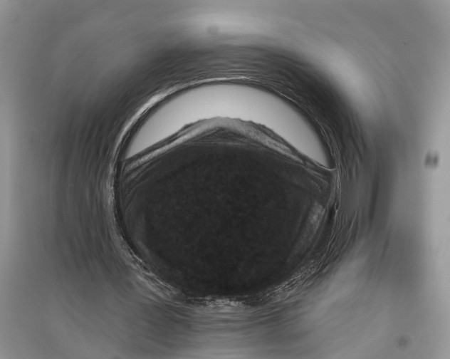 X0000097290387200803071736