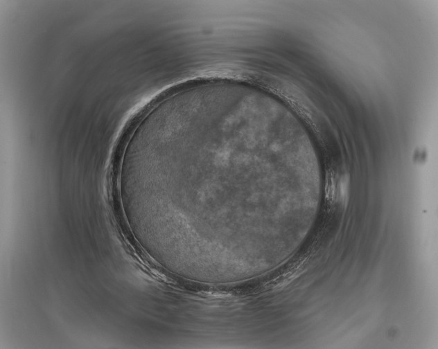 X0000097290388200803071736