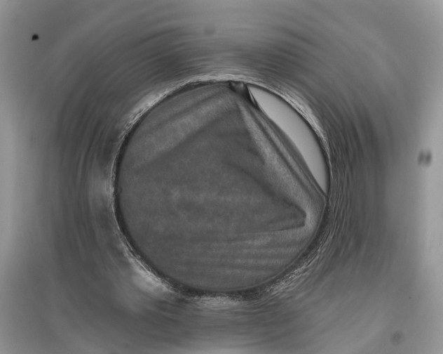 X0000097290389200803071736