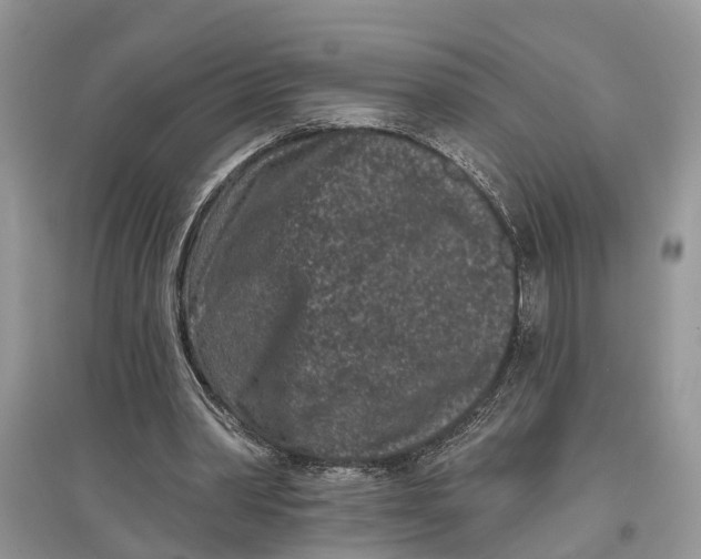 X0000097290390200803071736