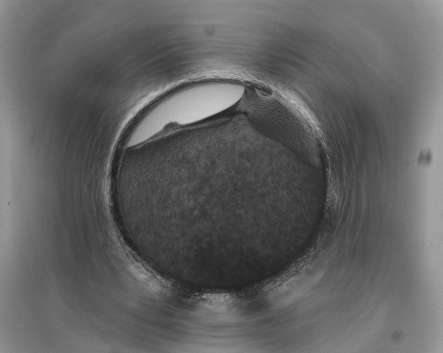 X0000097290391200803071736