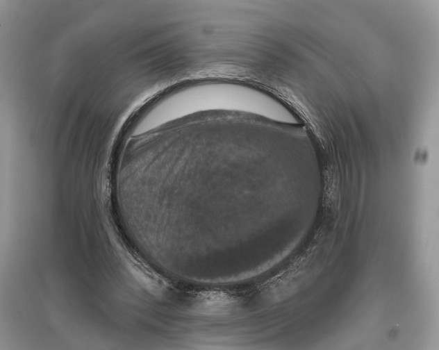 X0000097290392200803071736