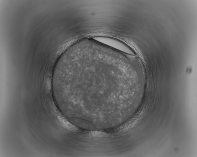 X0000097290393200803071736