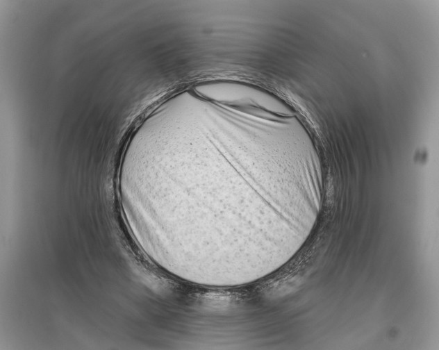 X0000097290394200803071736