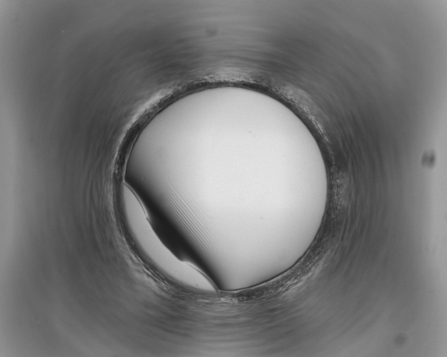 X0000097290395200803071736