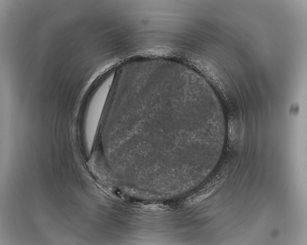 X0000097290396200803071736