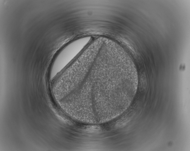 X0000097290398200803071736