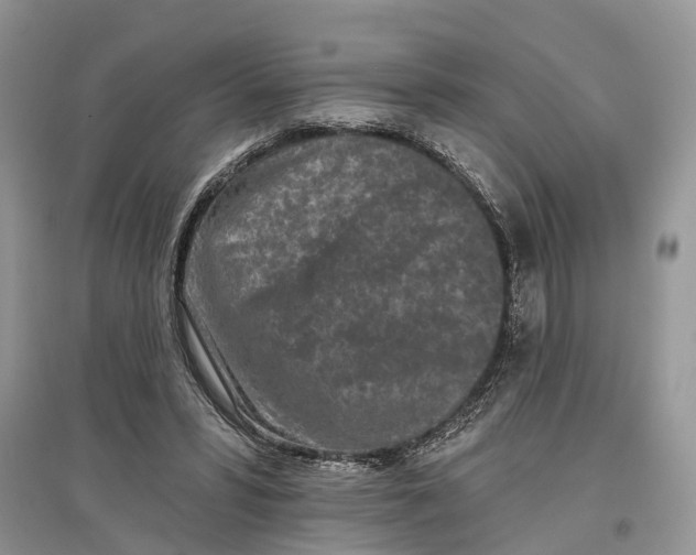 X0000097290399200803071736