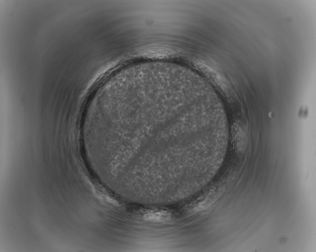 X0000097290400200803071736