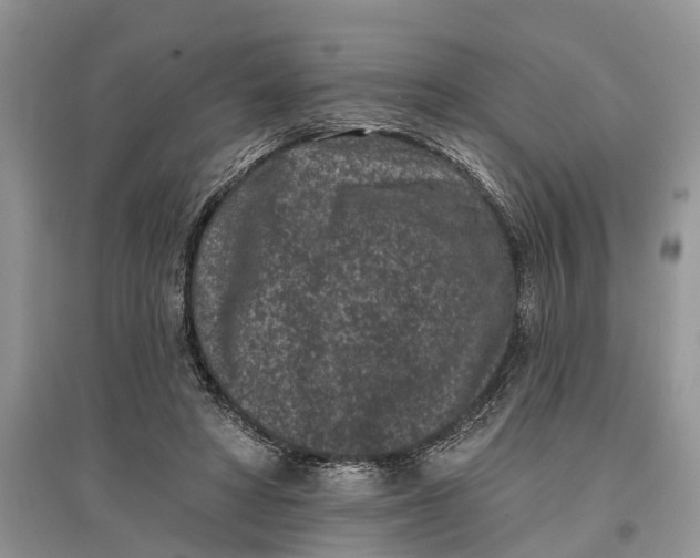 X0000097290402200803071736