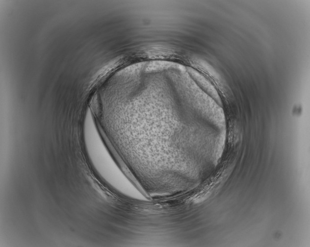 X0000097290405200803071736