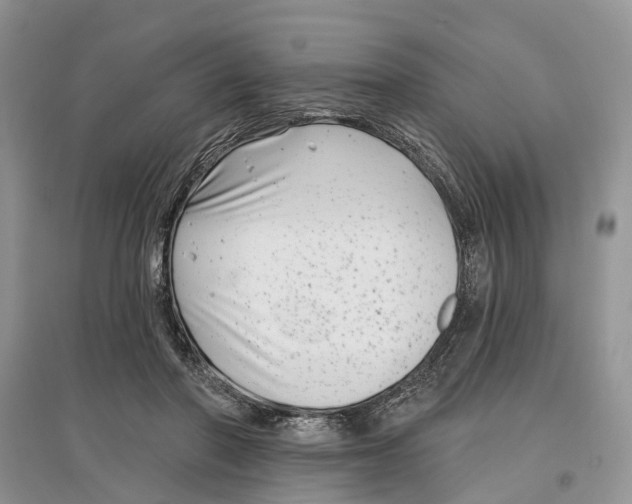 X0000097290406200803071736