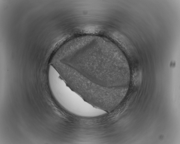 X0000097290407200803071736