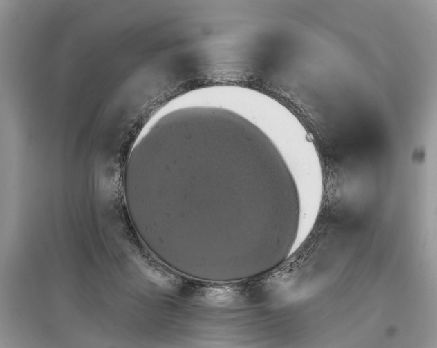 X0000097290411200803071736