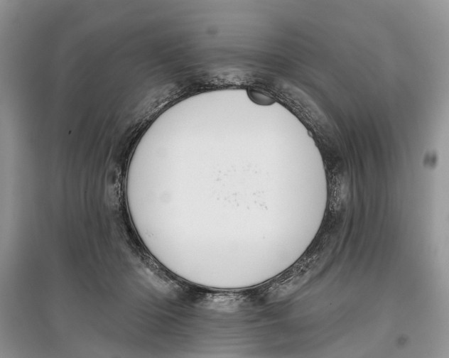 X0000097290414200803071736