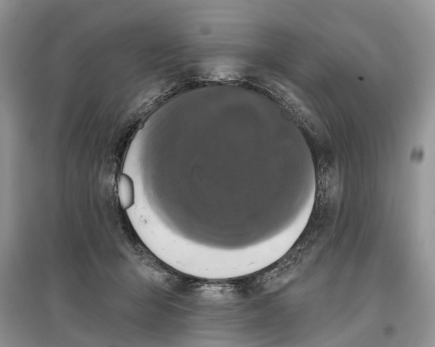 X0000097290415200803071736