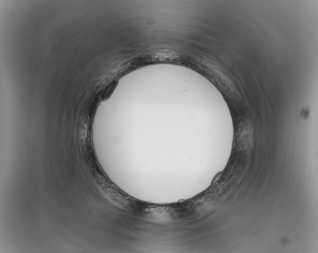 X0000097290417200803071736