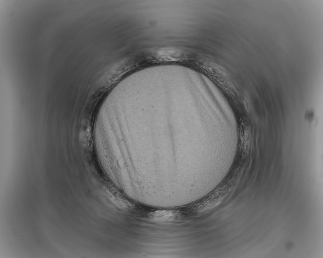 X0000097290418200803071736