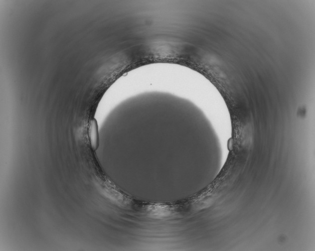 X0000097290419200803071736