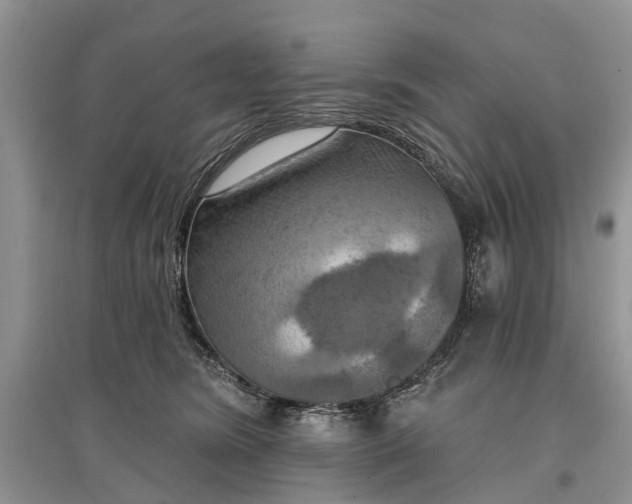 X0000097290420200803071736