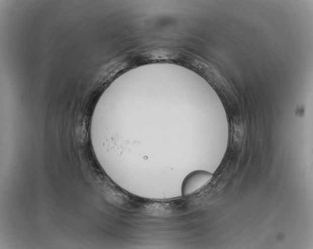 X0000097290422200803071736