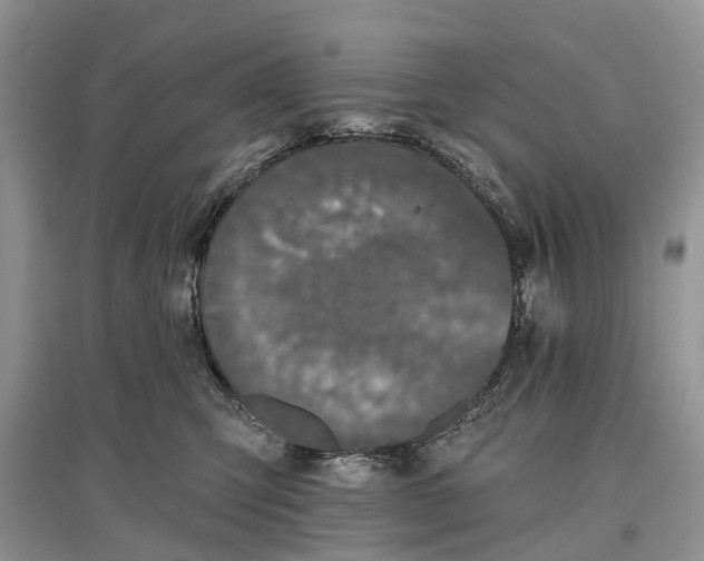 X0000097290423200803071736