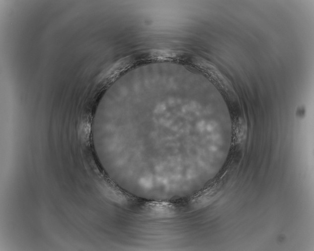 X0000097290427200803071735