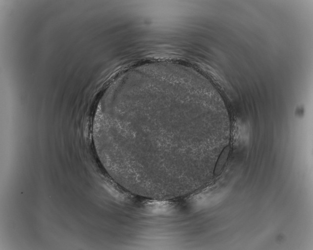 X0000097290428200803071735