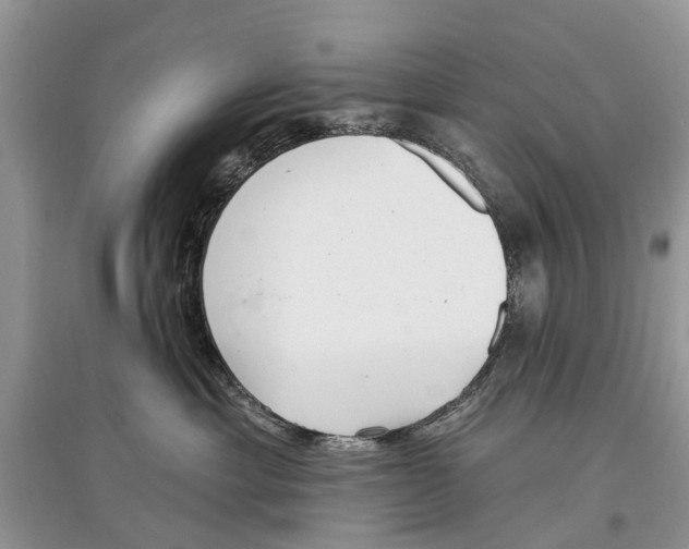 X0000097290429200803071735