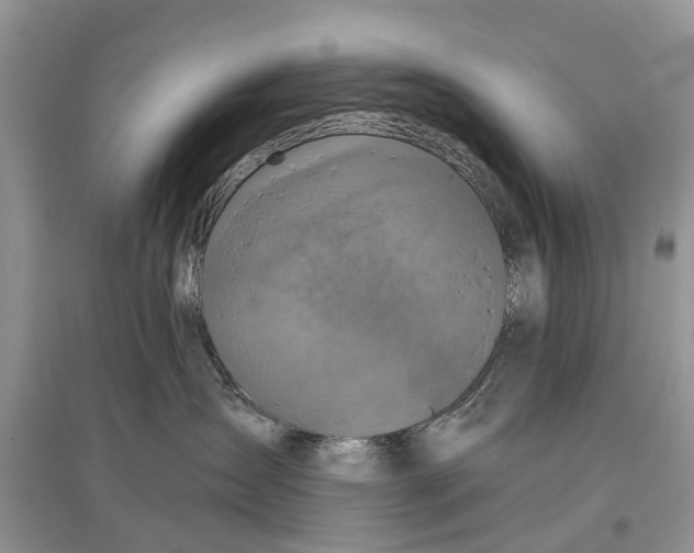 X0000097290431200803071735